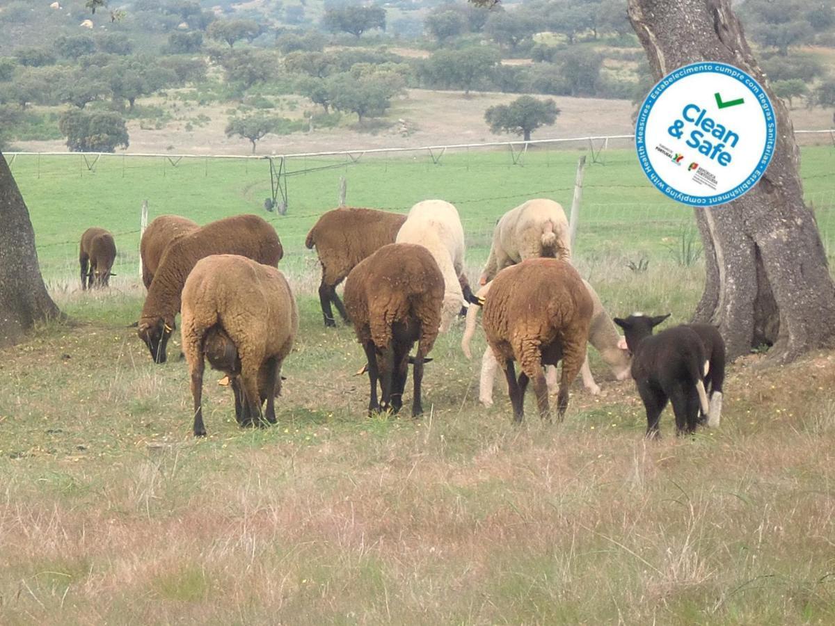 Affittacamere Horta da Quinta Mértola Esterno foto