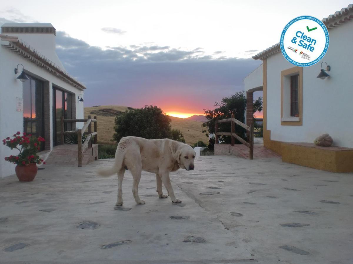 Affittacamere Horta da Quinta Mértola Esterno foto