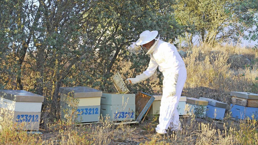 Affittacamere Horta da Quinta Mértola Esterno foto