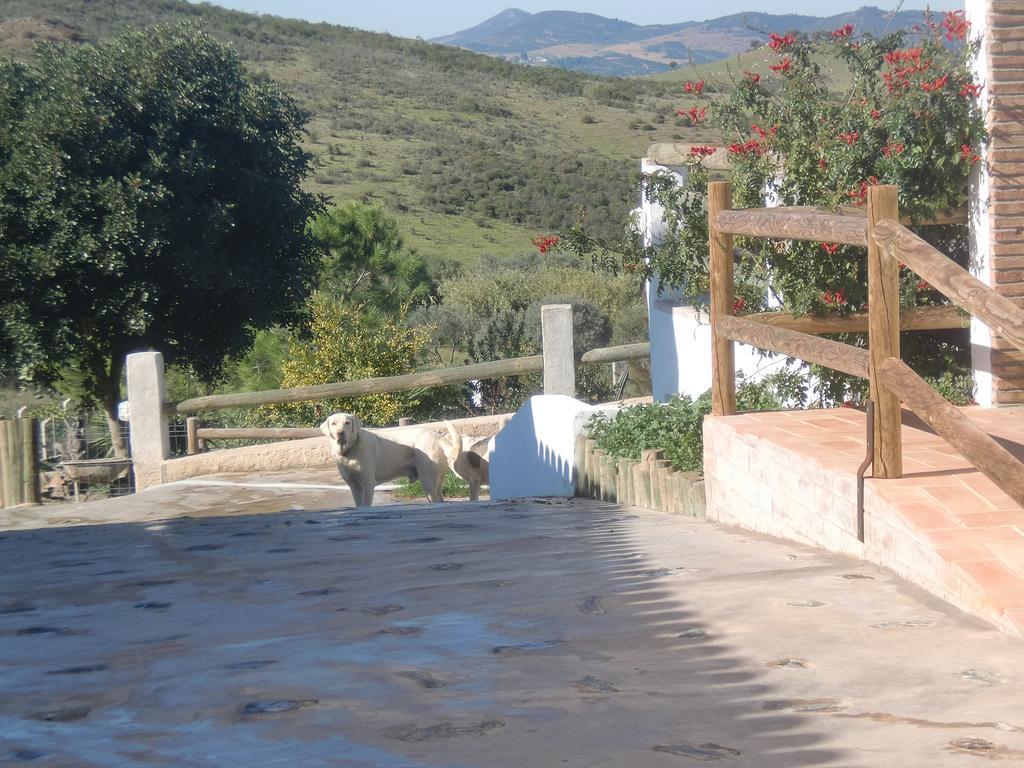Affittacamere Horta da Quinta Mértola Esterno foto